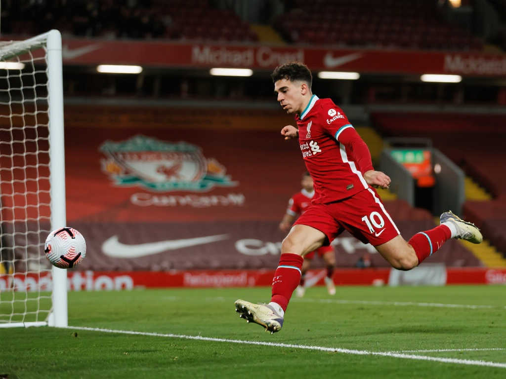 数支持他的 数支持他的