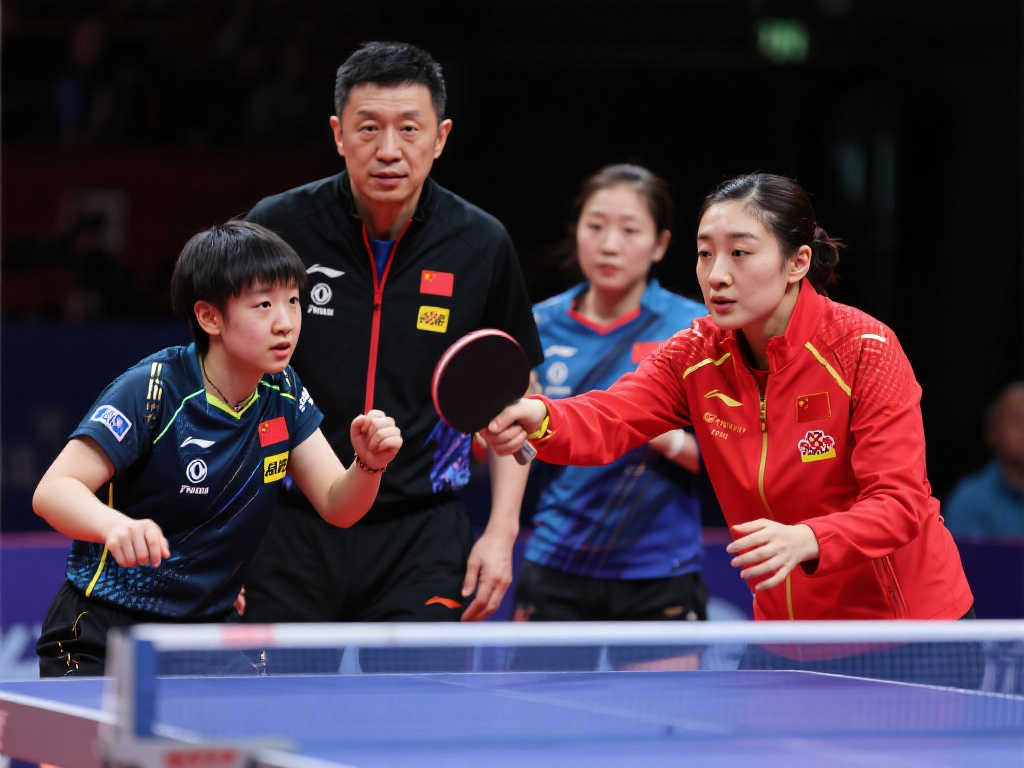 力和平衡性 力和平衡性