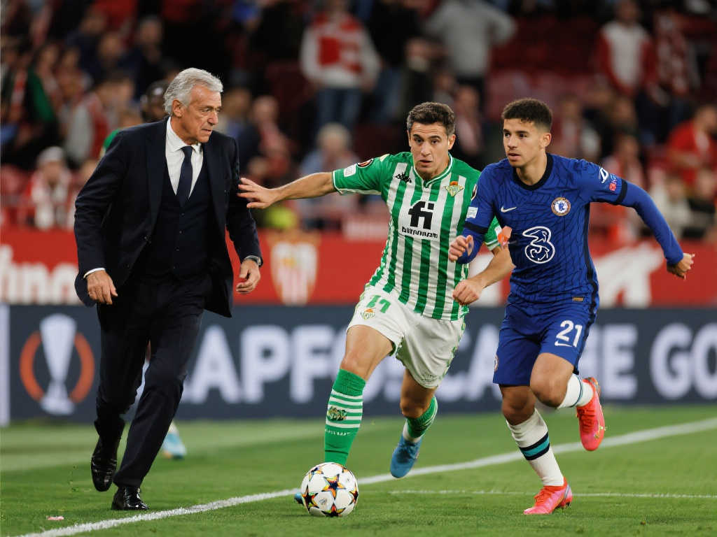 视因扎吉的 视因扎吉的