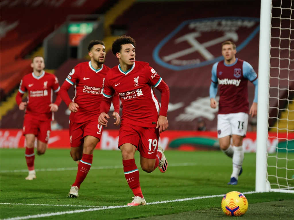 迎来怎样的 迎来怎样的